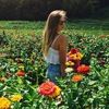 emily_sulc